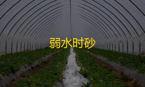 再次回应“机械人质疑”!何小鹏哽咽:无意分心中的私见是一座大山